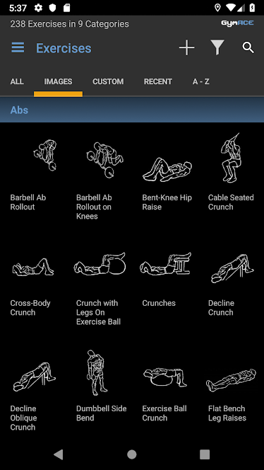 GymACE Pro: Workout and Body Log v2.0.2-pro (Patched) APK